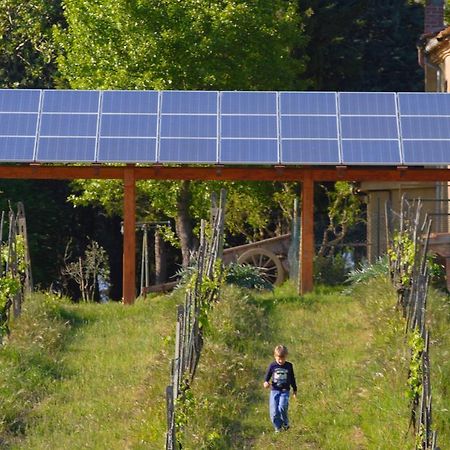 Agriturismo Le Volpaie Villa San Gimignano Bagian luar foto